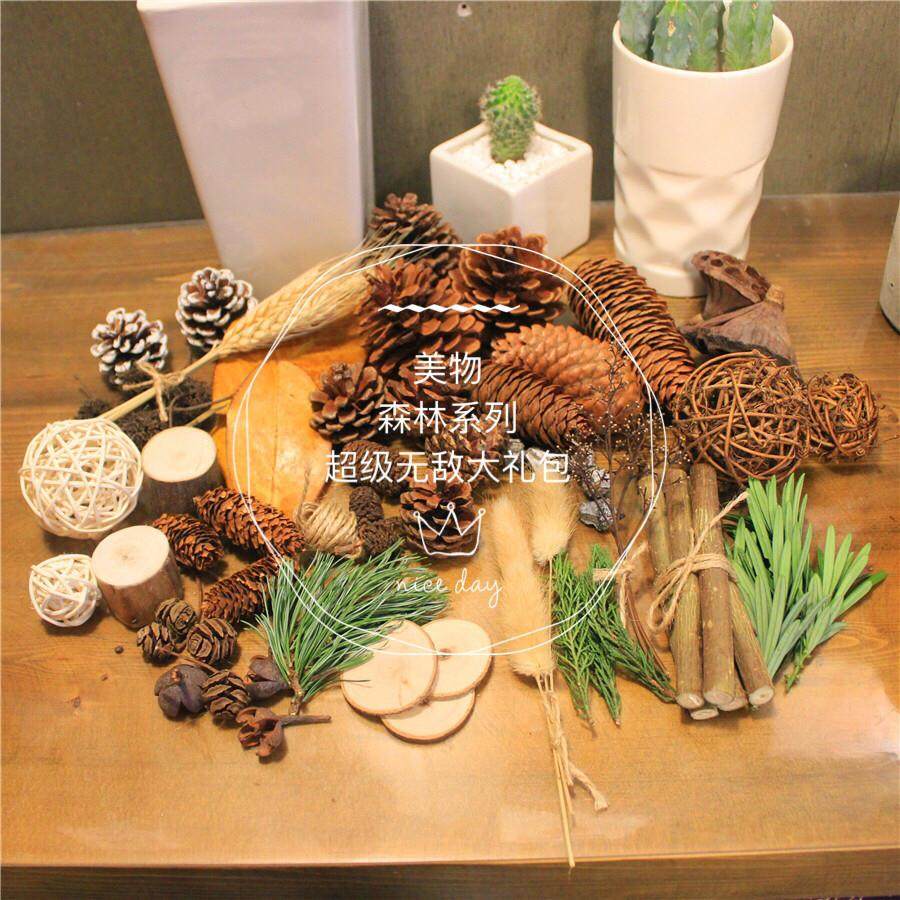 森林系列大礼包组合天然拍照道具幼儿园手工松果松塔混合材料包