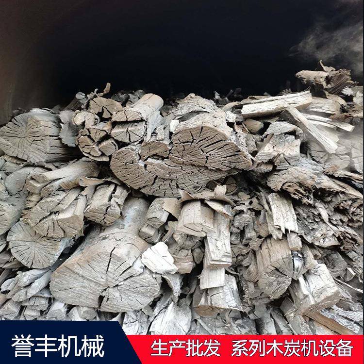 全套竹屑锯末稻壳制碳机高温型省电机制木炭机卧式全自动烧烤木炭