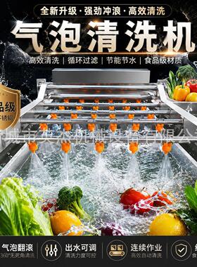 红枣气泡清洗机葡萄干清洗设备食品加工专用设备花生小柿子