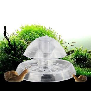 Plastic Tank Decoration Clear Trap Aquarium Snail Fish