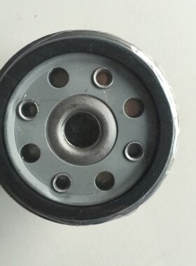 极速欧豹柴油滤清器CX0710东方红柴油滤清器滤芯滤佳特cx0710滤芯