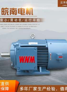 皖南电机YX3/YE3/YE3VF/YB3/YBX3/YVP/YBBP/YXEJ/YFB2/YFB3/YE4