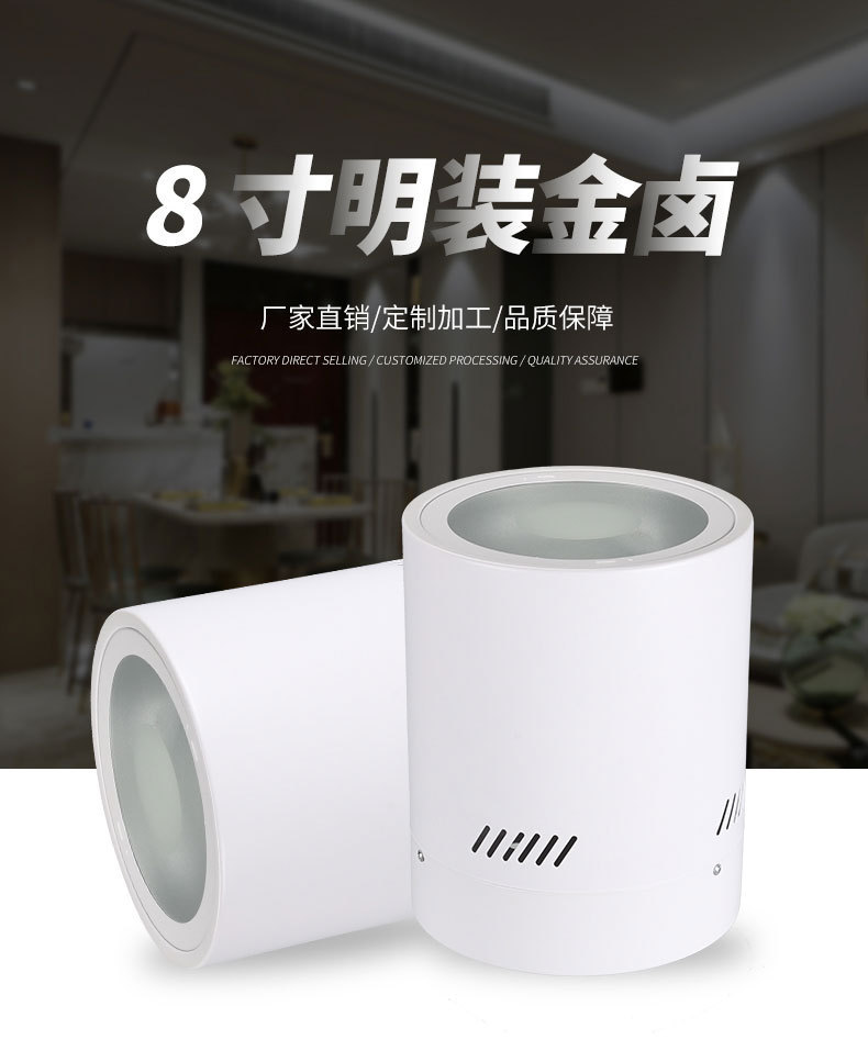 8寸明装金卤免开孔筒灯外壳