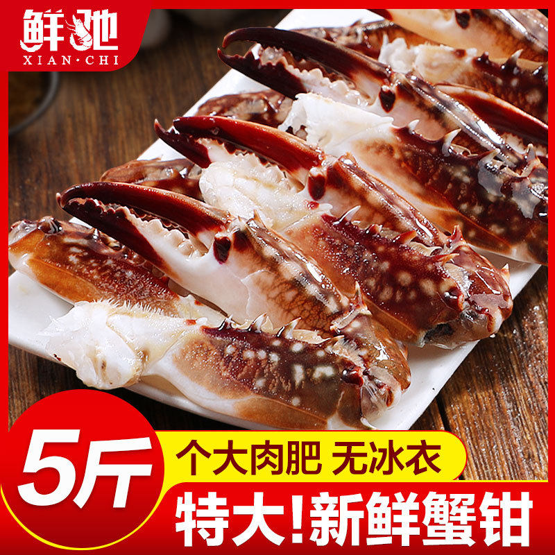 蟹钳生鲜海鲜水产新鲜大号梭子蟹钳商用批发蟹脚钳蟹爪螃蟹腿