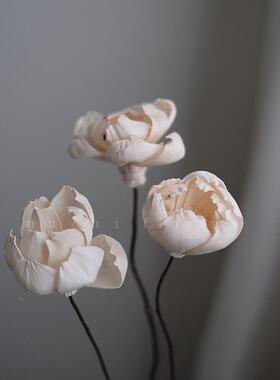 u丹zhi干 干燥花花束芍彷真花通草花干Y22104 干燥花束高m药级感