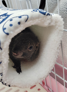 S/M 6Colors Hanging Warm Hamster Cage Winter Guinea Pig Ferr