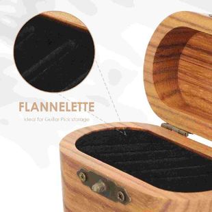 Electric Bass Pick Box Guitar Picks Case Plectrum Box