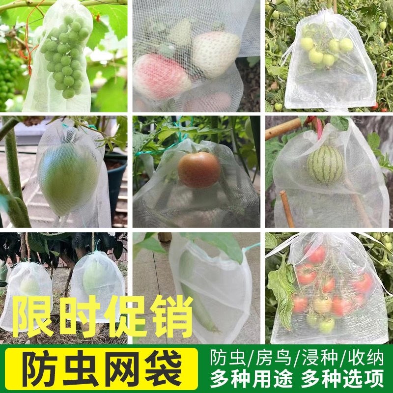 速发水果套袋防鸟防保专用网袋葡萄无花果榴果番石瓜草莓杨桃虫护