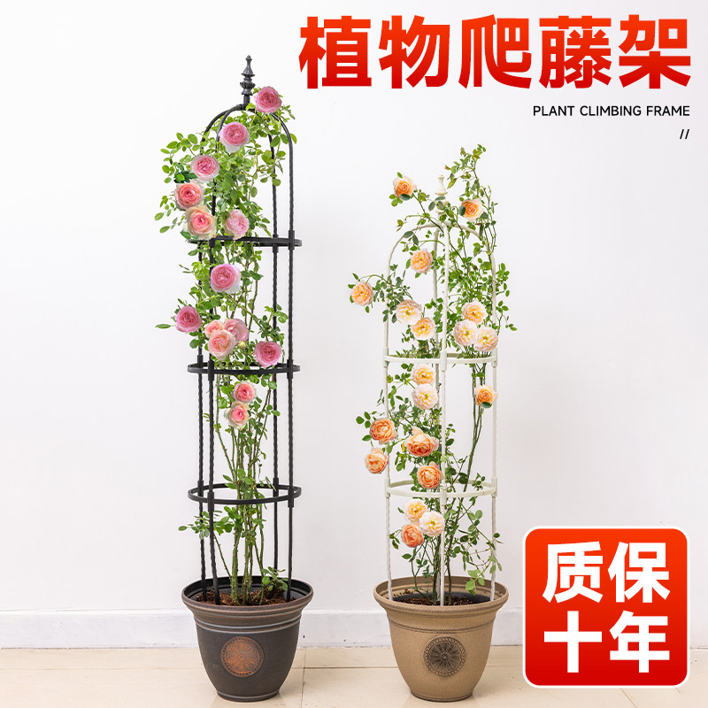 速发月花铁爬莲线藤架花架花卉支撑架杆花盆植物支架台季园花柱支