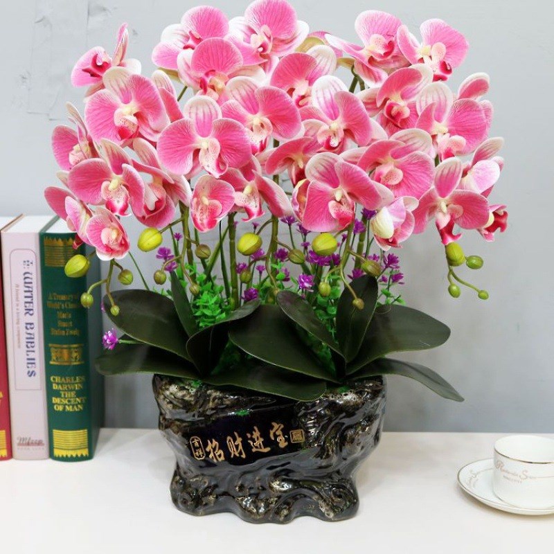 速发假花花手感套U蝴蝶兰P关盆栽客厅装饰品摆设电视柜玄装摆件花