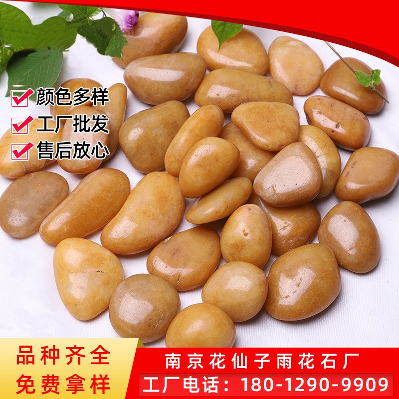 速发园色小抛光雨花石黄林景观鹅卵石原石鱼缸盆栽铺路高石头