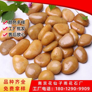 速发园色小抛光雨花石黄林景观鹅卵石原石鱼缸盆栽铺路高石头