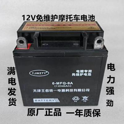 125摩托车电瓶12V9Ah钻豹太子跨骑车通用12v蓄电池12N9-4B-1