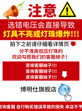精选g4led灯珠12V伏二两针插脚220V插泡卤素插针式镜前灯小灯泡G9