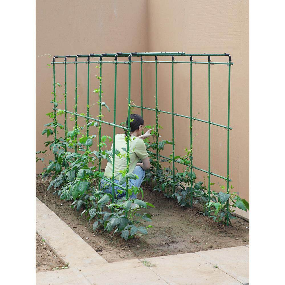 四季豆架杆黄瓜豆角蔬菜爬藤架种菜番茄西瓜支撑杆植物棚搭花架子