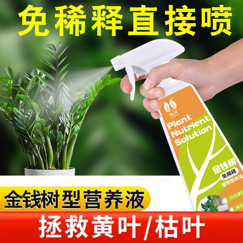 速发免稀金释钱树肥肥专用料营养液家用通用型室内盆栽绿植叶面花