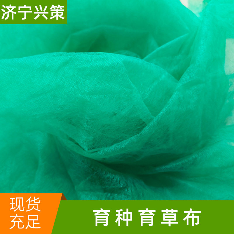 育苗草籽草坪绿化农用无纺布绿色裸土覆盖防尘布种植保湿育种布