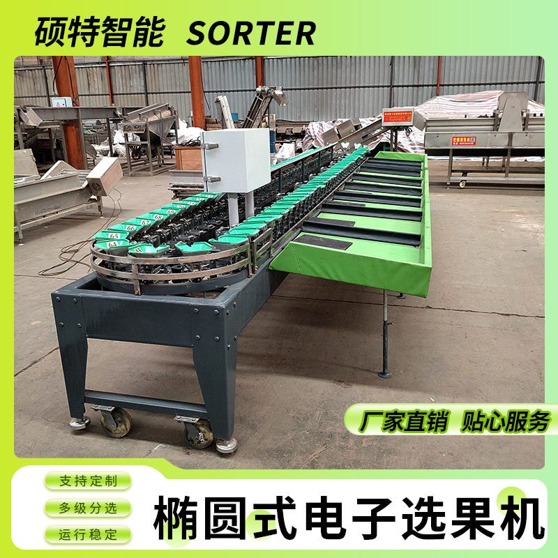 桃子小型重量选果机 番石榴椭圆式分级机 太婆梨多级称重分选机