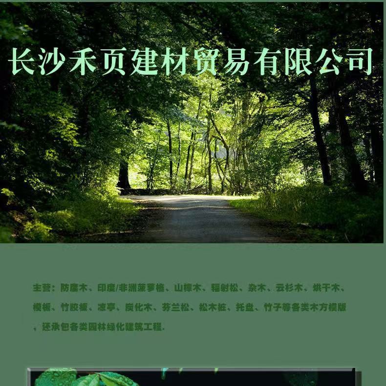 长沙河边绿化扶手长廊园林设计
