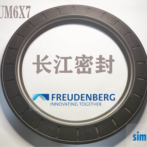 德国BAUM6X7骨架油封氟胶进口油封DIN3760A90-120-12CFW