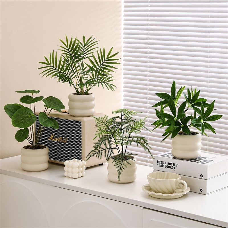 仿真绿植假花仿真花桌面小盆栽植物装饰摆件书柜仿生绿植拍摄道具,家居饰品,仿真花/假花,淘宝优惠券,粉丝福利购,淘宝优惠卷