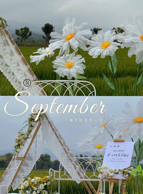 新款婚庆雏菊手工l纸花白色花橱窗装饰道具纱花场景布置婚礼路引