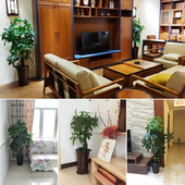 仿真植物盆栽假发财树客厅假树室内装 饰仿真树落地花假花大型绿植