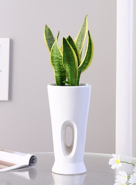 白色家用陶瓷花盆客厅兰r花虎皮兰茉莉专用冬青花瓶三角梅高款落