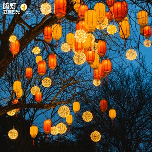 新年红灯笼户外led藤球挂树羊皮灯节日装饰灯工程亮化街道氛围灯