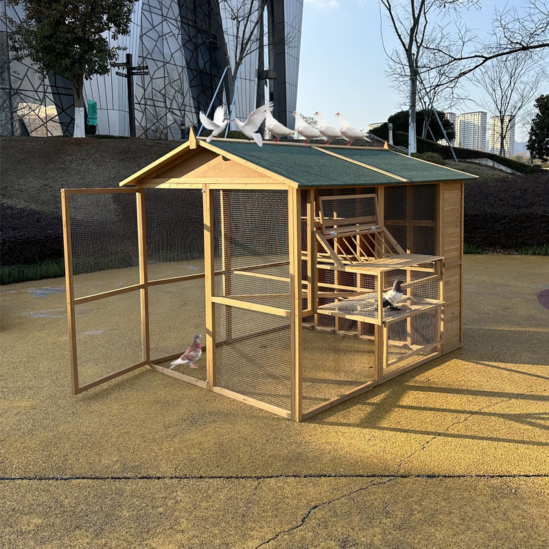 拼装鸽笼鸽子窝笼木窝配对笼鸽具养鸽专用笼只进不出家用鸽舍鸽棚