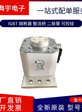 熔断器170M7975  7982  8330  8503  8504  8505  8506型号齐全