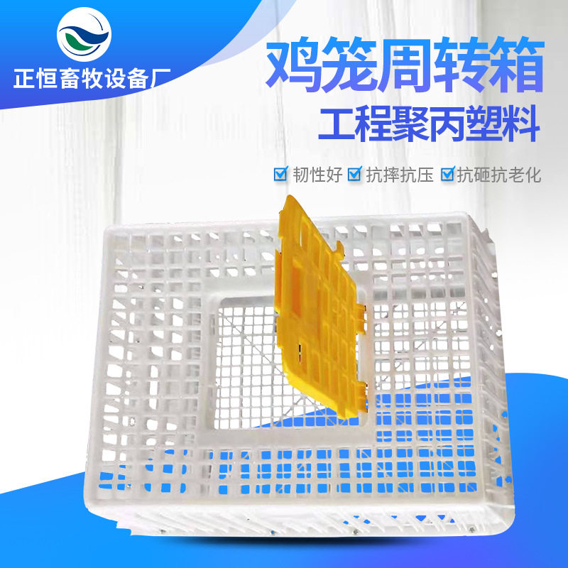 塑料鸡笼加厚运输鸡笼周转箱家用成鸡养殖笼蛋鸡笼子大号厂家批发