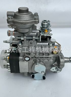 发动机燃油泵22100-1C380 VE610F1900RND417 22100-5B720 柴油泵