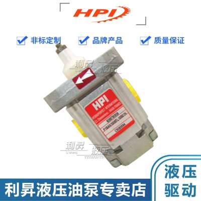 法国HPI齿轮P1BAN1004CL10B01N100310051002HPI动力单元动力泵