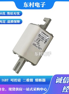 现货170M4108 170M4109 170M4110 170M4111/4112/4113全新熔断器