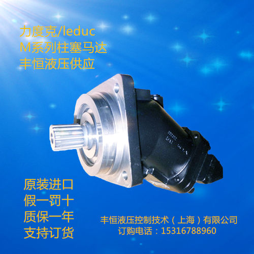 供应上海leduc液压钻机动力头马达 力度克斜盘式液压马达油压马达