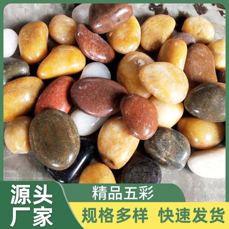 原厂供应彩色石 园林庭院装饰造景铺路面鹅卵石鱼缸花盆石头子