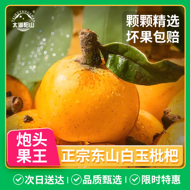 【正宗】苏州东山白玉枇杷新鲜孕妇水果应季鲜果青种白沙琵琶超甜