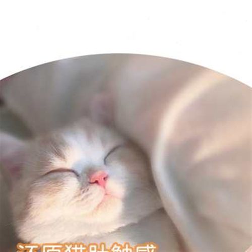 汽车头枕车用护颈枕车载腰靠记忆棉座椅颈枕开车靠枕可爱车座靠垫