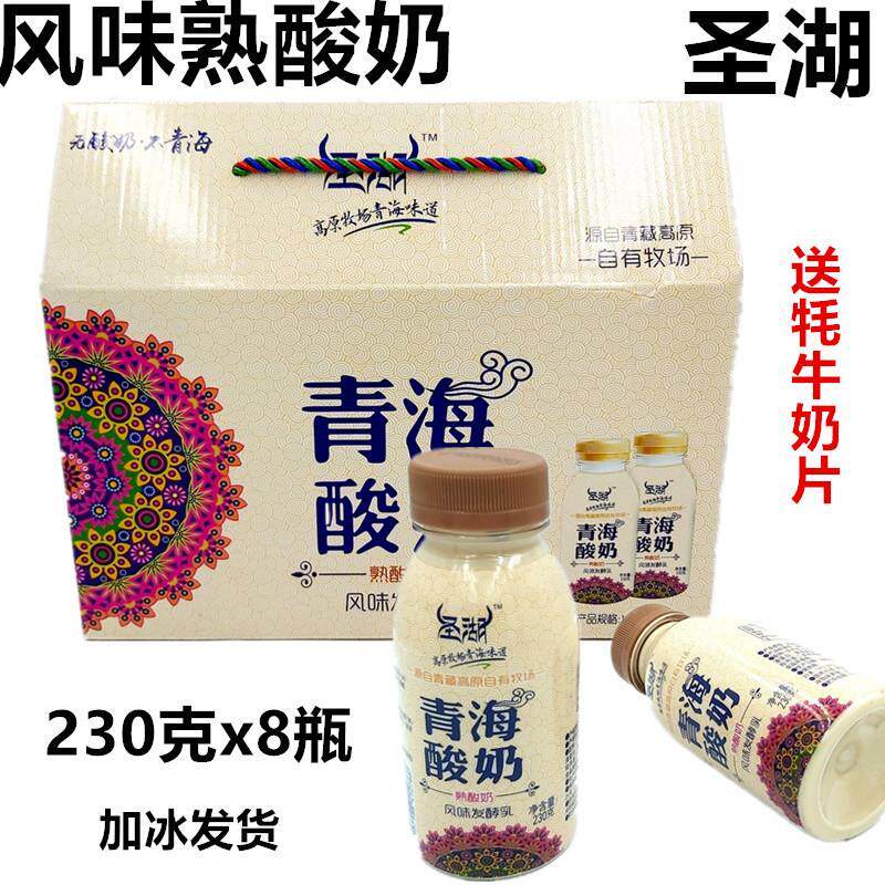 圣湖酸奶熟酸奶游牧风味整箱230g*8瓶装 青海老酸奶 浓香