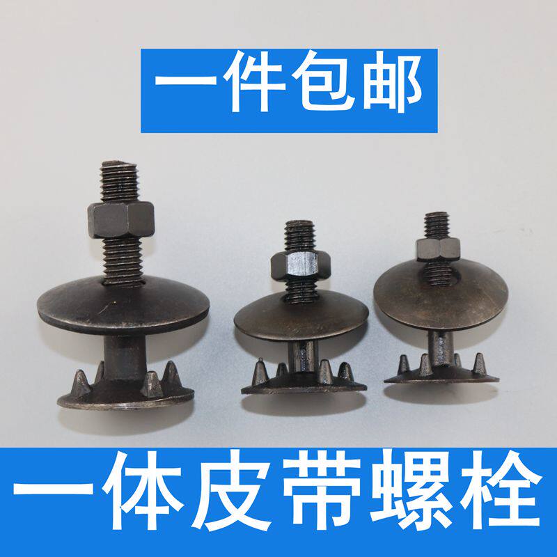 一体皮带螺丝螺栓 畚斗螺丝料斗提升机螺丝栓 一体皮带钉牙口螺丝图片