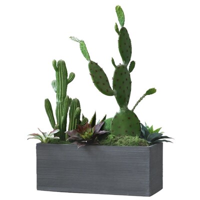 大型庭院造景沙漠绿植仙s人掌耐晒干旱花园造景仙人球仙人柱大盆