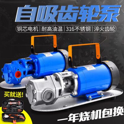 易丰扬12V24V电动抽油泵自吸不锈钢齿轮泵高粘稠度机油食物油泵