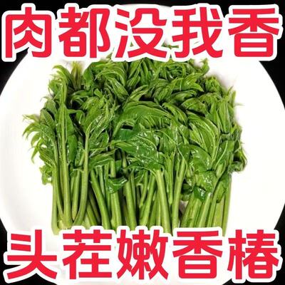 香椿芽咸菜山东特产新鲜腌制头茬红油香椿嫩芽袋装下饭菜香春酱菜