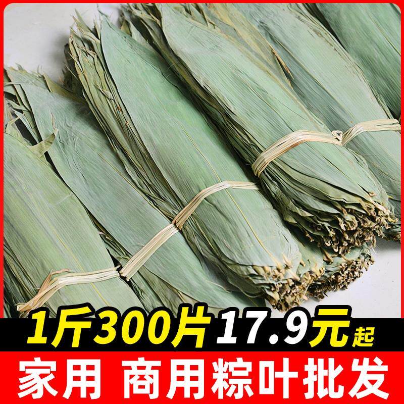 商用粽叶粽子叶包邮新鲜干大粽叶端午包粽子统货手选A7称5斤