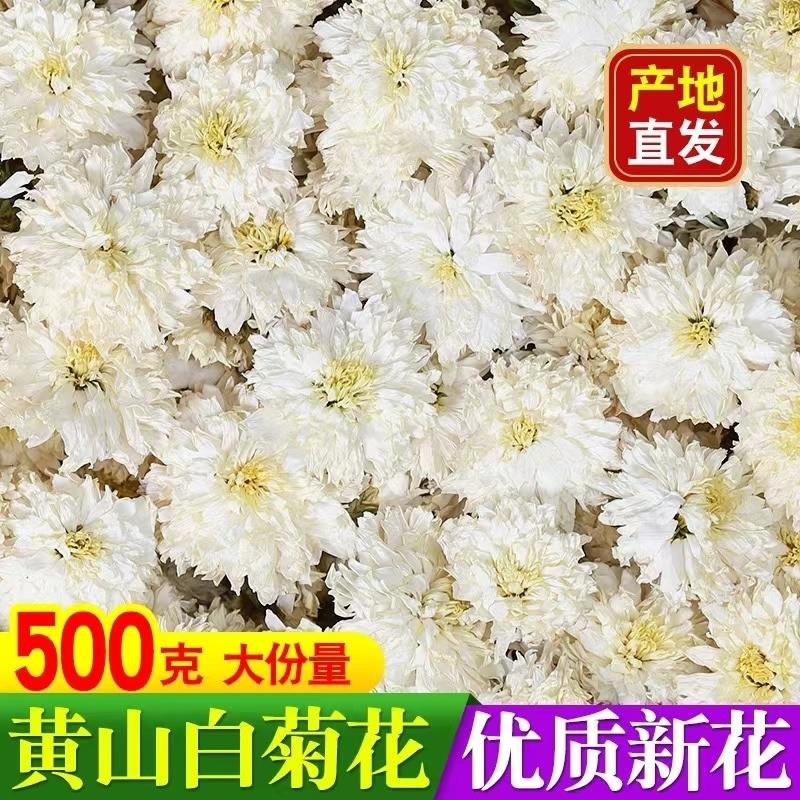 2024新花黄山白贡菊花茶500g白菊花泡水胎菊花草茶散装菊花