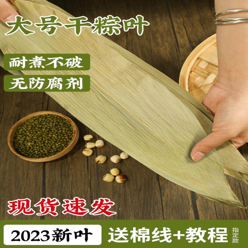 粽叶干大号粽子叶2024新叶糯米蛋黄肉粽送粽绳包粽子的材料专用线