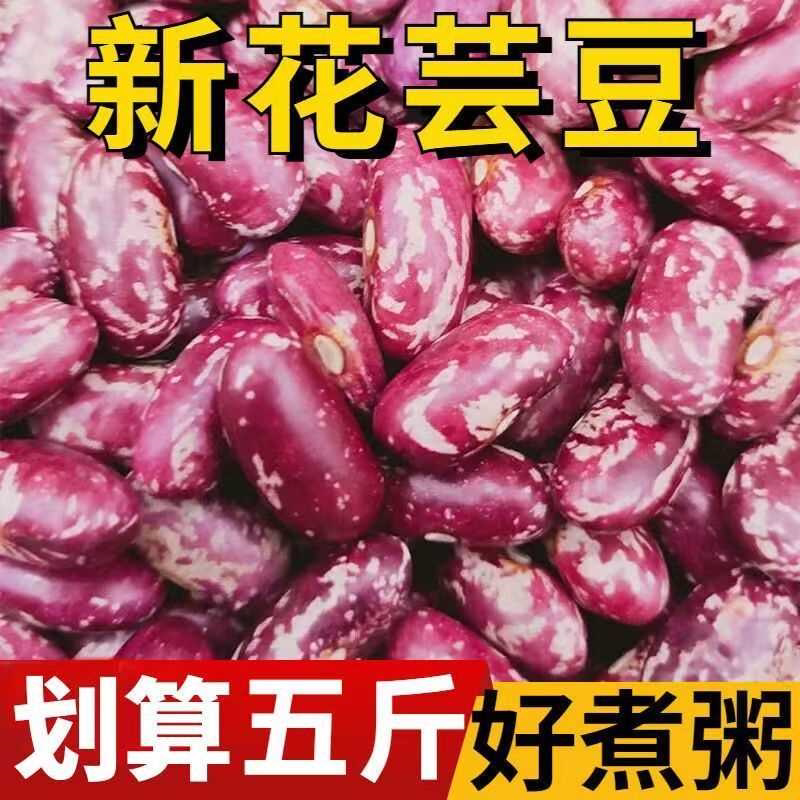 云南花芸豆芸豆豆包豆馅东北大碴子粥专用奶花饭豆新鲜好煮新花豆