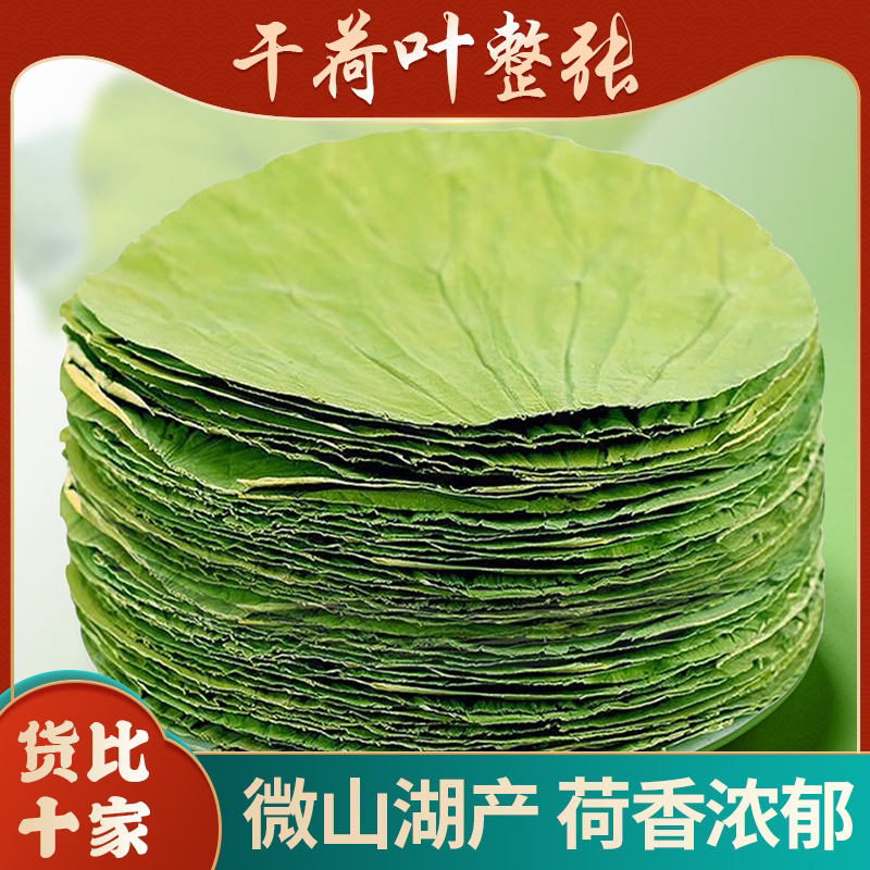 荷叶整张叫花鸡专用干荷叶蒸饭叫花鸡粥新鲜河莲藕叶片泡茶水