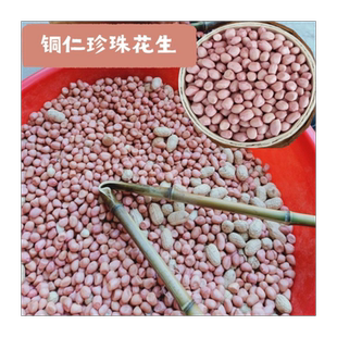 珍珠花生贵州铜仁特产珍珠小颗粒花生米农家2022新鲜小粒生花生米